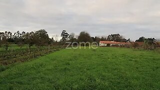 Land for sale in Oliveira do Bairro, Portugal — €35,000