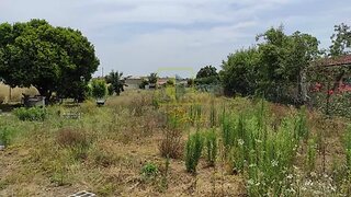 Terreno em Aveiro · 1148 m² · 59 000 €