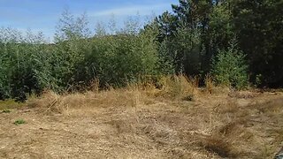 Land for sale in Viseu, Portugal — €55,000