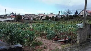 Land for sale in Águeda, Portugal — €30,000
