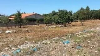 Land for sale in Alcobaça, Portugal — €31,000