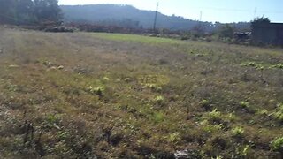 Terreno em Barcelos · 3960 m² · 40 000 €