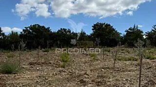 Land for sale in Penedono, Portugal — €11,000
