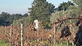 Land for sale in Palmela, Portugal — €200,000