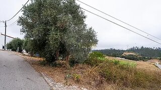Land for sale in Leiria, Portugal — €65,000