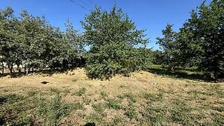 Terreno de 1925 m² em Viseu