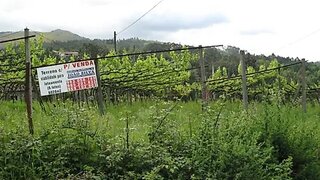 Land for sale in Ponte de Lima, Portugal — €275,000
