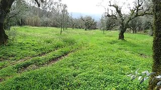 Land for sale in Miranda do Corvo, Portugal — €15,000