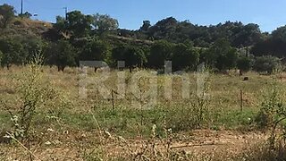 Terreno em Alcoutim