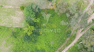 Terreno de 1210 m² em Vila Verde