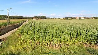 Land for sale in Ovar, Portugal — €210,000