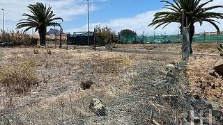 Land for sale in Porto Santo, Portugal — €265,250