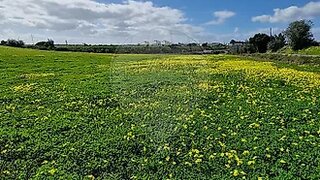 Land for sale in Azambuja, Portugal — €492,320