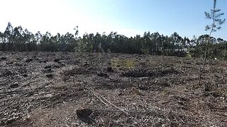 Terreno de 4280 m² em Torres Vedras