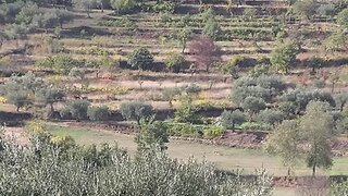 Land for sale in Trancoso, Portugal — €25,000