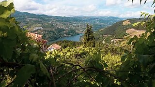 Land for sale in Baião, Portugal — €125,000