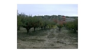 Land for sale in Lourinhã, Portugal — €20,000