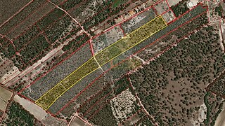 Terreno de 34 000 m² em Santarém