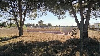 Land for sale in Benavente, Portugal — €85,000