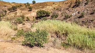 Land for sale in Tavira, Portugal — €18,000