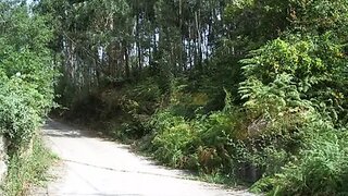 Land for sale in Sever do Vouga, Portugal — €50,000