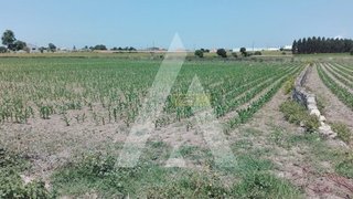 Terreno de 4690 m² em Aveiro