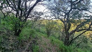 Land for sale in Santiago do Cacém, Portugal — €424,000