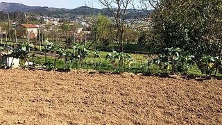 Terreno · 990 m² · 95 000 €