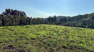 Land for sale in Póvoa de Lanhoso, Portugal — €15,000