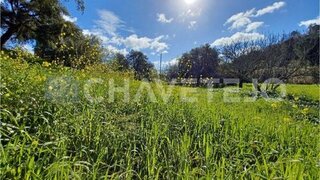 Land for sale in Tomar, Portugal — €9,000