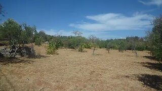 Land for sale in Loulé, Portugal — €100,000