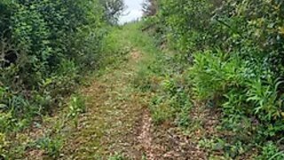 Land for sale in Ourém, Portugal — €50,000