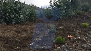 Land for sale in Oliveira do Bairro, Portugal — €25,000
