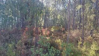 Land for sale in Ferreira do Zêzere, Portugal — €7,500