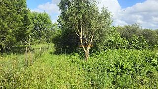 Land for sale in Tomar, Portugal — €35,000