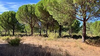 Land for sale in Grândola, Portugal — €2,950,000