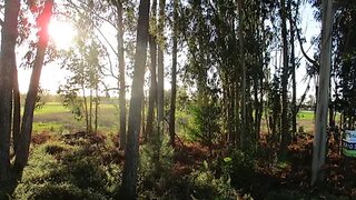 Land for sale in Figueira da Foz, Portugal — €50,000