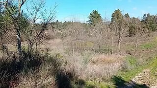Land for sale in Penamacor, Portugal — €12,000