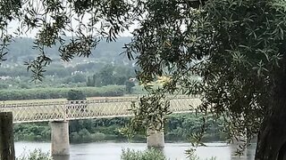 Land for sale in Abrantes, Portugal — €60,000