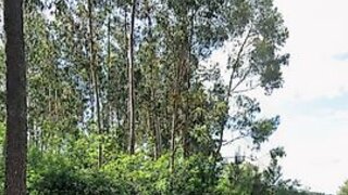 Land for sale in Monção, Portugal — €80,000