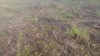 Land for sale in Vila Nova de Famalicão, Portugal — €72,500