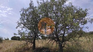 Land for sale in Castro Marim, Portugal — €32,500