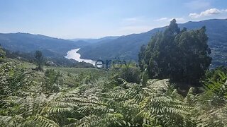 Land for sale in Vieira do Minho, Portugal — €175,000