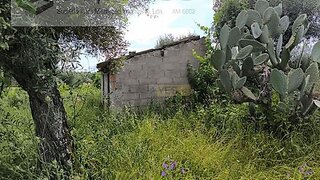 Land for sale in Castelo Branco, Portugal — €13,500