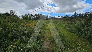 Land for sale in Águeda, Portugal — €150,000