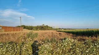 Land for sale in Vagos, Portugal — €70,000