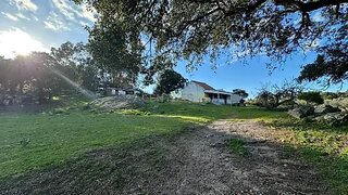 Land for sale in Castelo Branco, Portugal — €65,000