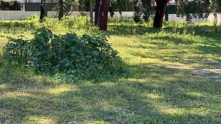 Land for sale in Palmela, Portugal — €220,000