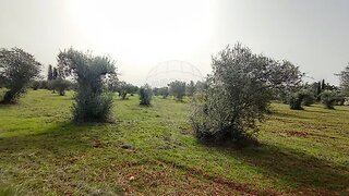 Land for sale in Torres Novas, Portugal — €39,000