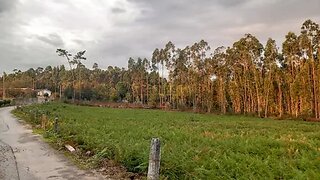 Terreno para venda em Ponte de Lima, Portugal — 135 000 €